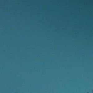 Meet your Posher, Nyla